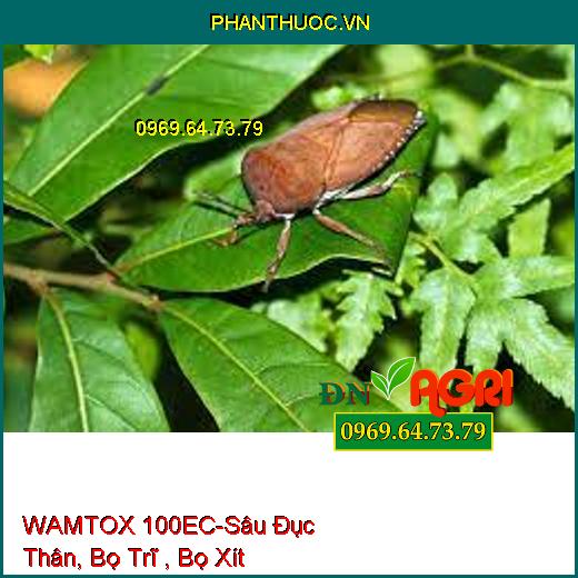 WAMTOX 100EC-Sâu Đục Thân, Bọ Trĩ , Bọ Xít