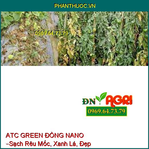 ATC GREEN ĐỒNG NANO –Sạch Rêu Mốc, Xanh Lá, Đẹp Trái