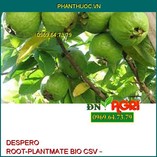 DESPERO ROOT-PLANTMATE BIO CSV – Đâm Chồi,Nuôi Quả