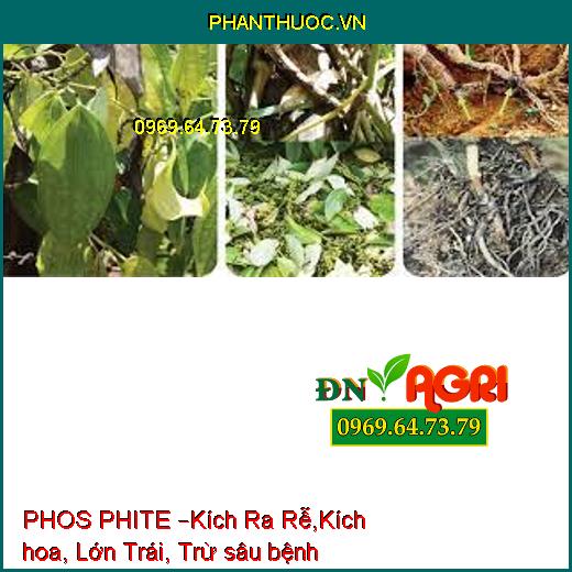 PHOS PHITE –Kích Ra Rễ,Kích hoa, Lớn Trái, Trừ sâu bệnh