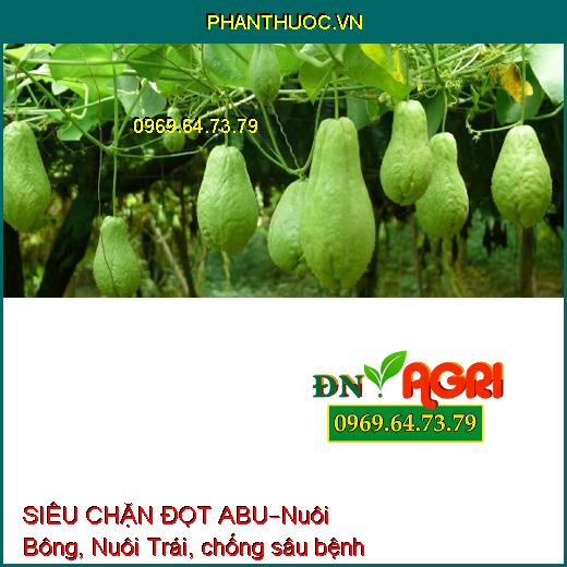 SIÊU CHẶN ĐỌT ABU–Nuôi Bông, Nuôi Trái, chống sâu bệnh