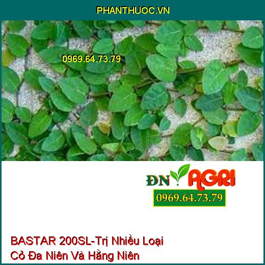 BASTAR 200SL-Trị Nhiều Loại Cỏ Đa Niên Và Hằng Niên