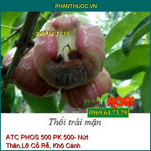 ATC PHOS 500 PK 500- Nứt Thân,Lỡ Cổ Rễ, Khô Cành