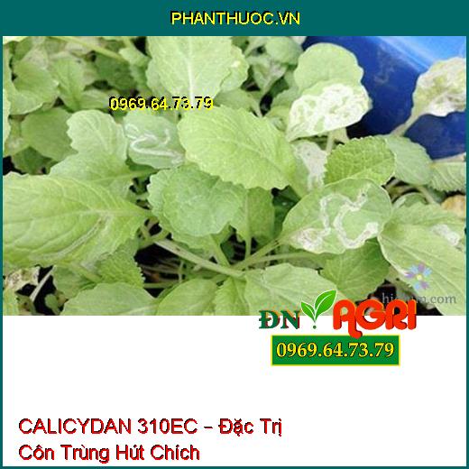 CALICYDAN 310EC – Đặc Trị Côn Trùng Hút Chích