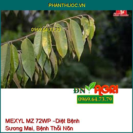 MEXYL MZ 72WP –Diệt Bệnh Sương Mai, Bệnh Thỗi Nõn