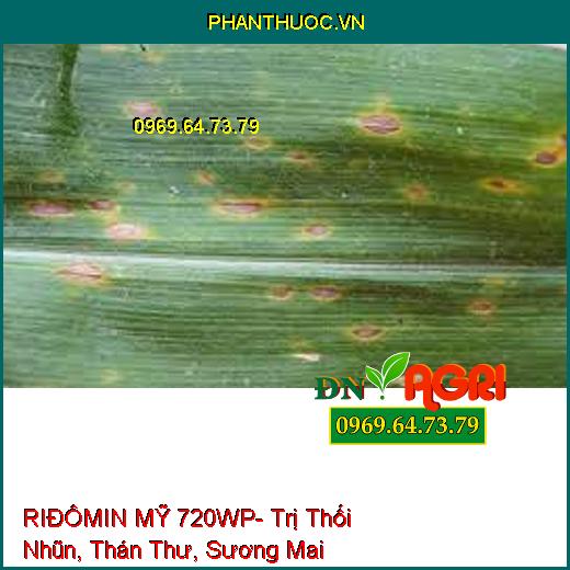 RIĐÔMIN MỸ 720WP- Trị Thối Nhũn, Thán Thư, Sương Mai