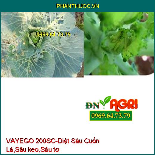 VAYEGO 200SC-Diệt Sâu Cuốn Lá,Sâu keo,Sâu tơ