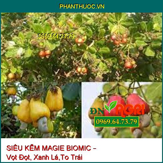 SIÊU KẼM MAGIE BIOMIC – Vọt Đọt, Xanh Lá,To Trái