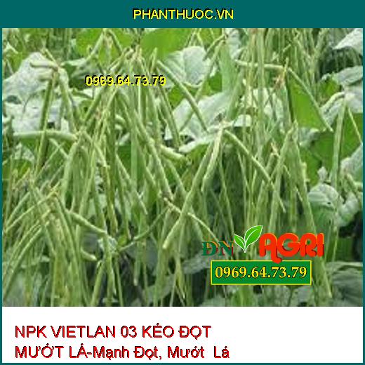 NPK VIETLAN 03 KÉO ĐỌT MƯỚT LÁ-Mạnh Đọt, Mướt Lá