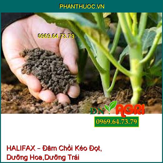 HALIFAX – Đâm Chồi Kéo Đọt, Dưỡng Hoa,Dưỡng Trái