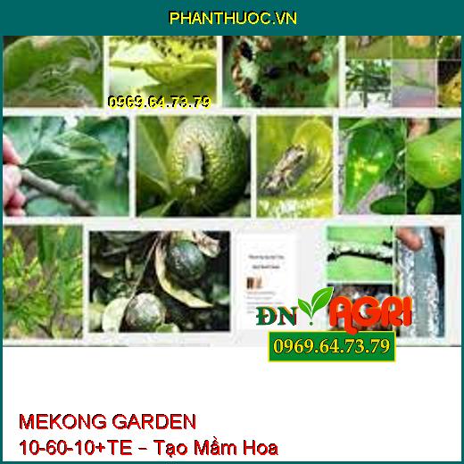 MEKONG GARDEN 10-60-10+TE – Tạo Mầm Hoa