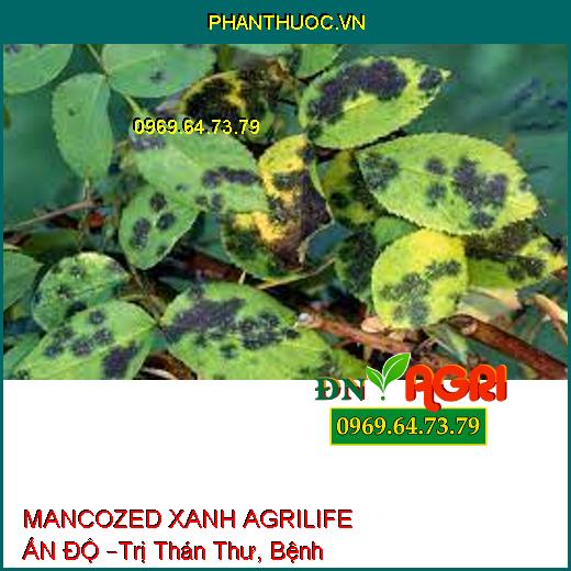 MANCOZED XANH AGRILIFE ẤN ĐỘ –Trị Thán Thư, Bệnh Ghẻ