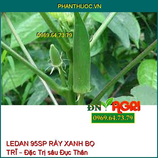 LEDAN 95SP RẦY XANH BỌ TRĨ – Đặc Trị sâu Đục Thân