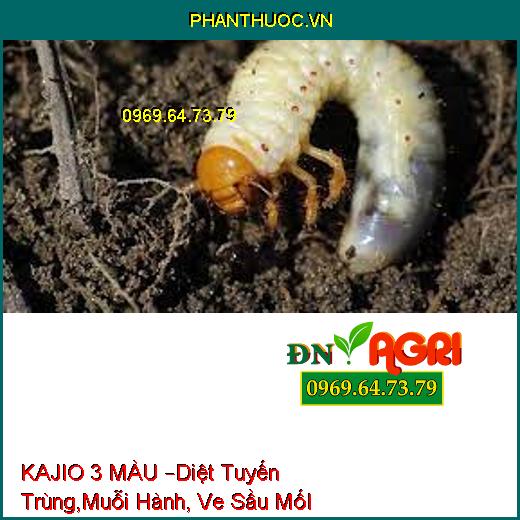 KAJIO 3 MÀU –Diệt Tuyến Trùng,Muỗi Hành, Ve Sầu MốI