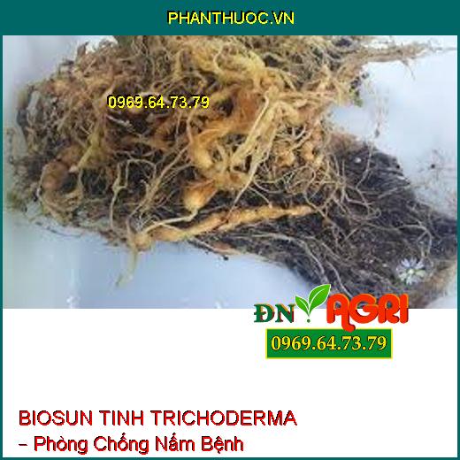 BIOSUN TINH TRICHODERMA – Phòng Chống Nấm Bệnh