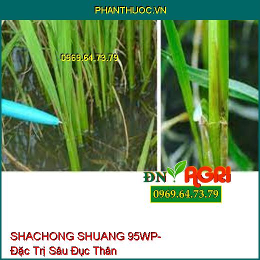 SHACHONG SHUANG 95WP- Đặc Trị Sâu Đục Thân