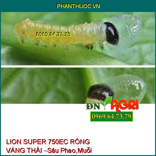 LION SUPER 750EC RỒNG VÀNG THÁI –Sâu Phao,Muỗi Hành