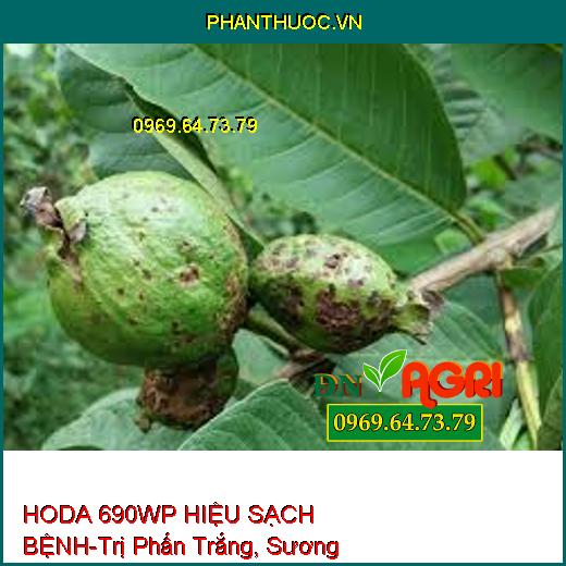 HODA 690WP HIỆU SẠCH BỆNH-Trị Phấn Trắng, Sương Mai