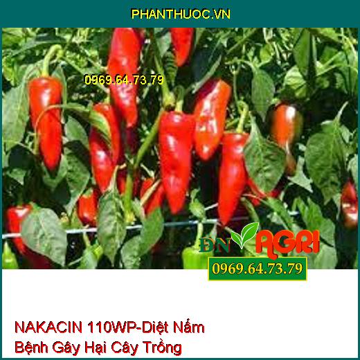 NAKACIN 110WP-Diệt Nấm Bệnh Gây Hại Cây Trồng