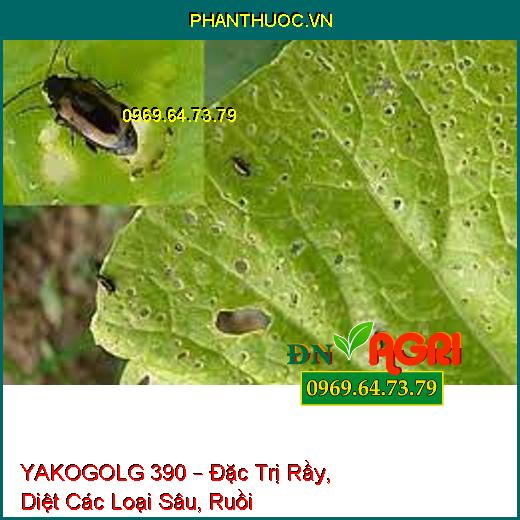 YAKOGOLG 390 – Đặc Trị Rầy, Diệt Các Loại Sâu, Ruồi