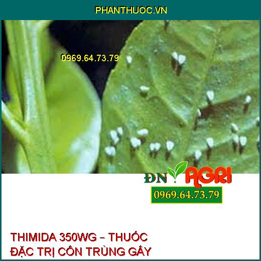 THIMIDA 350WG – THUỐC ĐẶC TRỊ CÔN TRÙNG GÂY HẠI