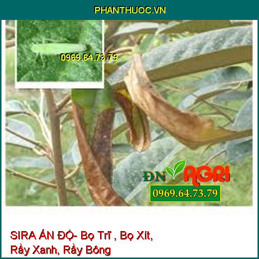 SIRA ẤN ĐỘ- Bọ Trĩ , Bọ Xít, Rầy Xanh, Rầy Bông