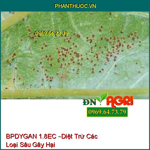 BPDYGAN 1.8EC –Diệt Trừ Các Loại Sâu Gây Hại