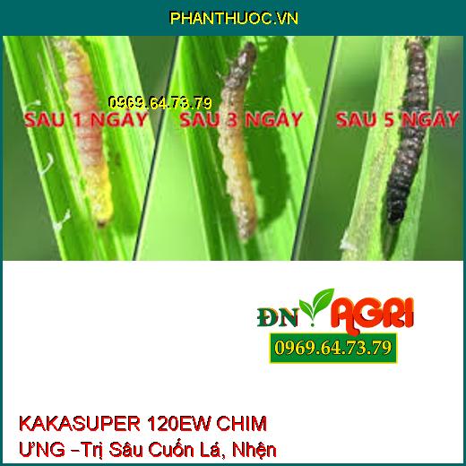 KAKASUPER 120EW CHIM ƯNG –Trị Sâu Cuốn Lá, Nhện Đỏ