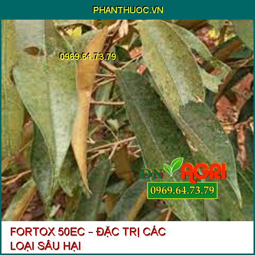 FORTOX 50EC – ĐẶC TRỊ CÁC LOẠI SÂU HẠI