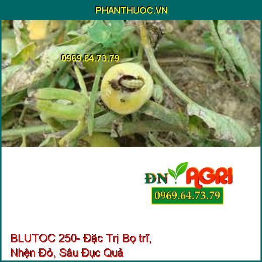 BLUTOC 250- Đặc Trị Bọ trĩ, Nhện Đỏ, Sâu Đục Quả