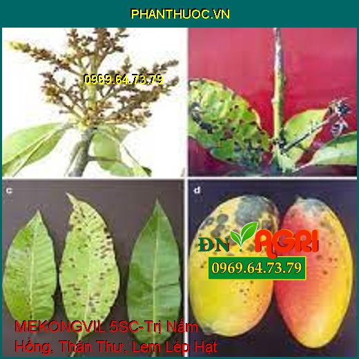 MEKONGVIL 5SC-Trị Nấm Hồng, Thán Thư, Lem Lép Hạt