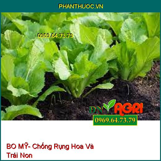 BO MỸ- Chống Rụng Hoa Và Trái Non