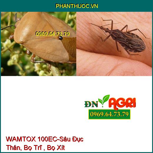 WAMTOX 100EC-Sâu Đục Thân, Bọ Trĩ , Bọ Xít