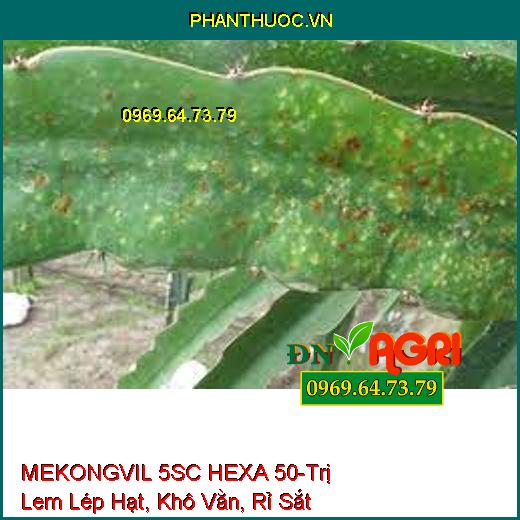 MEKONGVIL 5SC HEXA 50-Trị Lem Lép Hạt, Khô Vằn, Rỉ Sắt