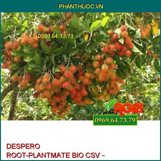 DESPERO ROOT-PLANTMATE BIO CSV – Đâm Chồi,Nuôi Quả