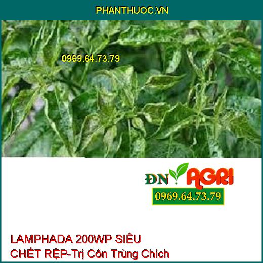 LAMPHADA 200WP SIÊU CHẾT RỆP-Trị Côn Trùng Chích Hút