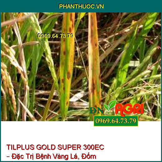 TILPLUS GOLD SUPER 300EC – Đặc Trị Bệnh Vàng Lá, Đốm Vằn