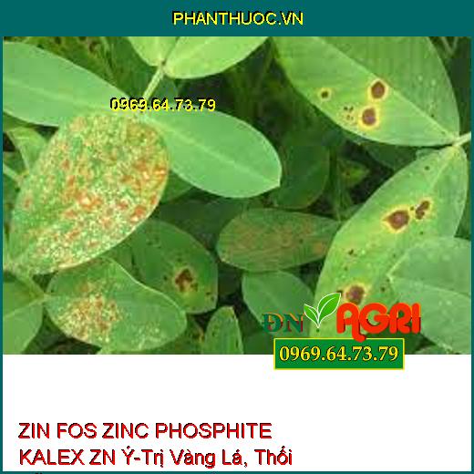 ZIN FOS ZINC PHOSPHITE KALEX ZN Ý-Trị Vàng Lá, Thối Rễ