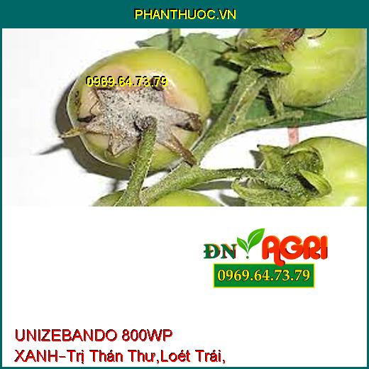 UNIZEBANDO 800WP XANH–Trị Thán Thư,Loét Trái, Sương Mai