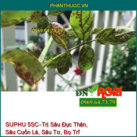 SUPHU 5SC–Trị Sâu Đục Thân, Sâu Cuốn Lá, Sâu Tơ, Bọ Trĩ