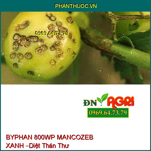 BYPHAN 800WP MANCOZEB XANH –Diệt Phấn Trắng, thán thư