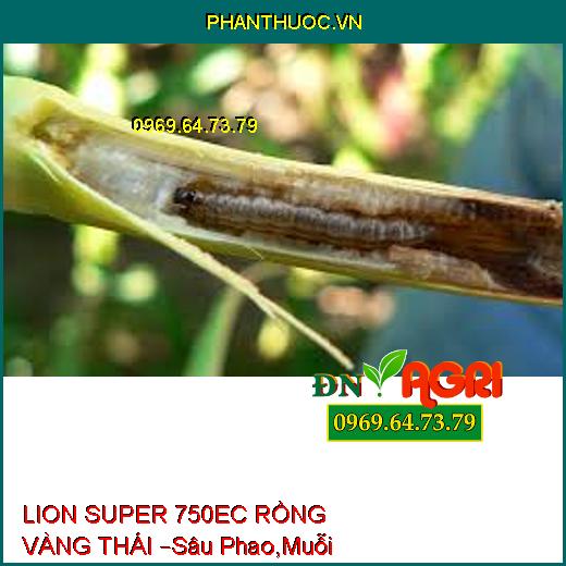 LION SUPER 750EC RỒNG VÀNG THÁI –Sâu Phao,Muỗi Hành