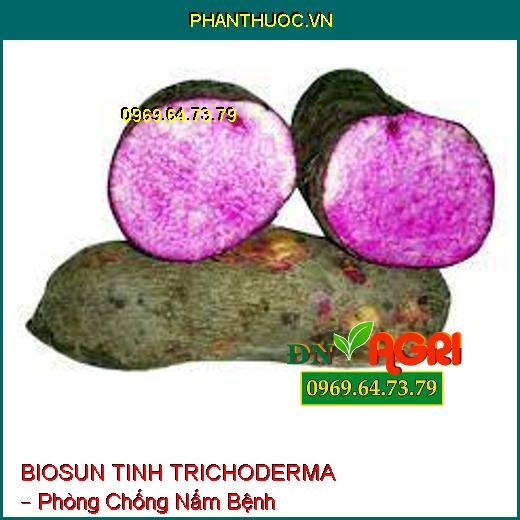 BIOSUN TINH TRICHODERMA – Phòng Chống Nấm Bệnh