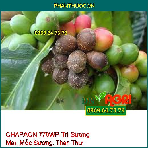 CHAPAON 770WP-Trị Sương Mai, Mốc Sương, Thán Thư