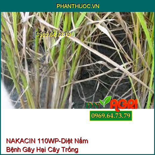 NAKACIN 110WP-Diệt Nấm Bệnh Gây Hại Cây Trồng