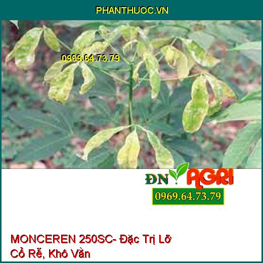 MONCEREN 250SC- Đặc Trị Lỡ Cổ Rễ, Khô Vằn