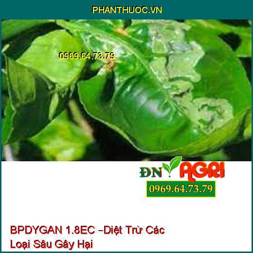 BPDYGAN 1.8EC –Diệt Trừ Các Loại Sâu Gây Hại