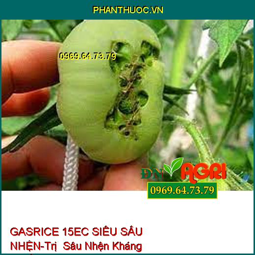 GASRICE 15EC SIÊU SÂU NHỆN-Trị Sâu Nhện Kháng Thuốc