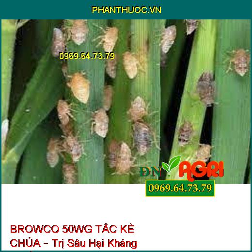 BROWCO 50WG TẮC KÈ CHÚA – Trị Sâu Hại Kháng Thuốc