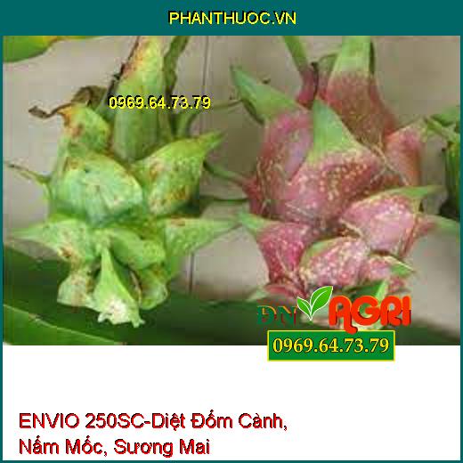 ENVIO 250SC-Diệt Đốm Cành, Nấm Mốc, Sương Mai